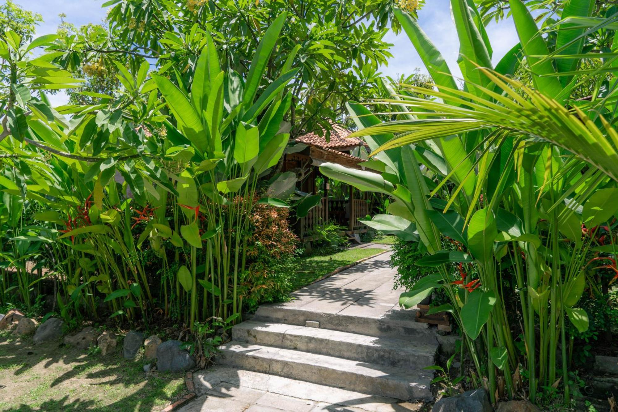 Bali Royal Heritage Villa 塞米亚克 外观 照片